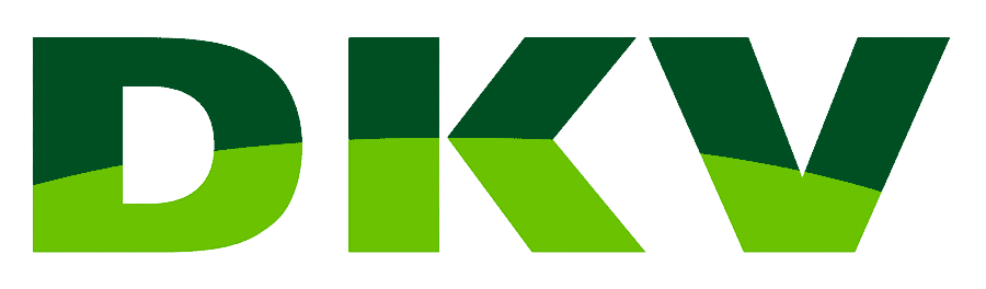 dkv seguros de vida